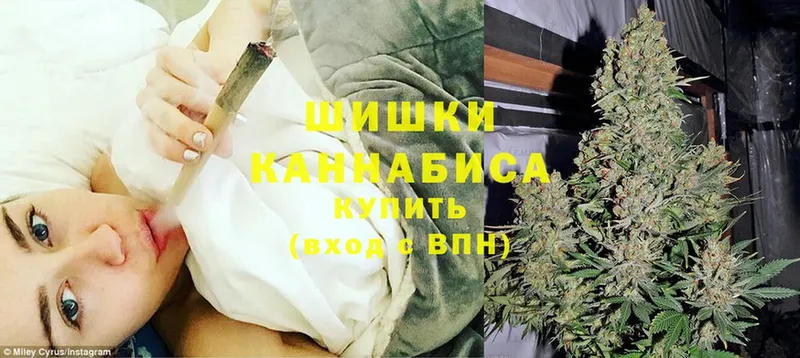 Марихуана SATIVA & INDICA  hydra как войти  Железногорск-Илимский 